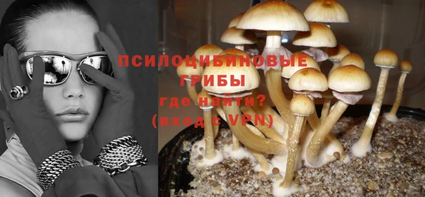 ALPHA PVP Верхний Тагил