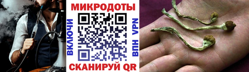 ссылка на мегу как войти  Гремячинск  Галлюциногенные грибы Psilocybe 